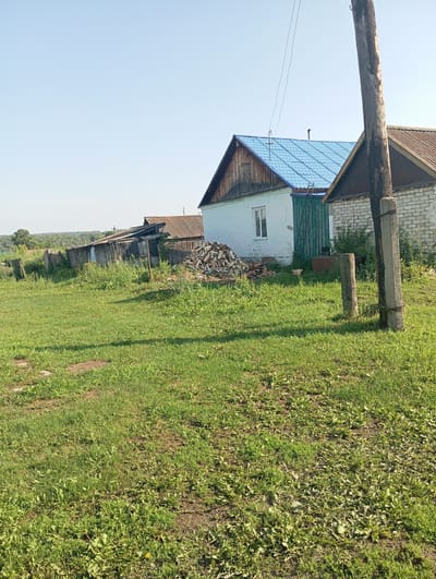 The image depicts a rural scene in Novo-Kopylovo, Russia, under a clear, pale blue sky on a sunny day. In the foreground, a lush green lawn is dotted with scattered weeds and patches of bare earth. A dirt path or track runs diagonally across the lower left portion of the frame.
Dominating the middle ground are several buildings. To the right, a light blue, one-story house with a wooden gable and a bright blue, metal roof stands beside another building constructed of white brick, also with a wooden gable and a corrugated metal roof. A green wooden door is visible on the side of the blue house, and a ladder leans against it. In front of the blue house, a neatly stacked pile of firewood is present. To the left of the blue house, a dilapidated wooden structure, possibly a shed or outbuilding, leans precariously and is partially obscured by overgrown vegetation. A weathered wooden fence runs along the property line, separating it from a distant tree line and rolling hills.
A thick, weathered wooden utility pole stands prominently on the right side of the image, with concrete bases and wires running overhead. Two smaller wooden posts are situated in the grass in front of the utility pole. The overall impression is one of a simple, rural dwelling, likely a private home, with signs of both upkeep and disrepair.