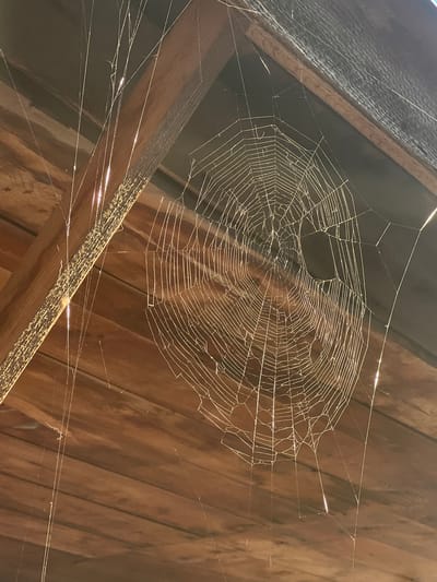 The image shows a large, intricate spiderweb suspended in what appears to be an attic or unfinished wooden structure. The web is the primary subject, illuminated by a bright light source, likely sunlight filtering from above, creating a delicate, shimmering effect. The web is well-defined with radial spokes and concentric sticky spirals, though some sections appear broken or incomplete.
The background consists of weathered wooden planks and beams, suggesting an interior space that is not actively maintained. The texture of the wood is rough and aged. The lighting creates strong highlights and shadows, emphasizing the three-dimensional nature of the web and the structure it is built upon.
There are no people or animals visible in the image. The activity implied is the ongoing natural process of web construction and maintenance by a spider, though the spider itself is not present. The overall mood is one of quiet stillness and natural artistry. The location cues, such as the wooden construction, are typical of older buildings or storage areas. No text is visible in the image.