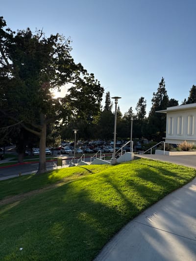 A sunlit scene captures a perspective from a grassy incline looking towards a parking lot filled with parked cars and a light-colored building with arched windows. A large tree with dense foliage dominates the left side of the frame, with sunlight filtering through its leaves, casting dappled shadows on the grass. In the mid-ground, a paved pathway leads up a set of stairs with white railings, flanked by lampposts. The background reveals a clear blue sky and a line of tall evergreen trees. The image appears to be taken in Glendale, United States of America, given the architectural style of the building and the surrounding vegetation typical of Southern California.