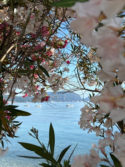 An outdoor, eye-level shot captures a framing of white and pink flowers with green leaves against a bright blue sky and a calm, clear blue sea. In the distance, several small boats are visible on the water, and a green, tree-covered island with a small town along its coast is seen on the horizon. The image appears to have been taken in Municipal Unit of Meliteieis, Greece, given the distinctive geological formations and clear blue waters typical of the region.