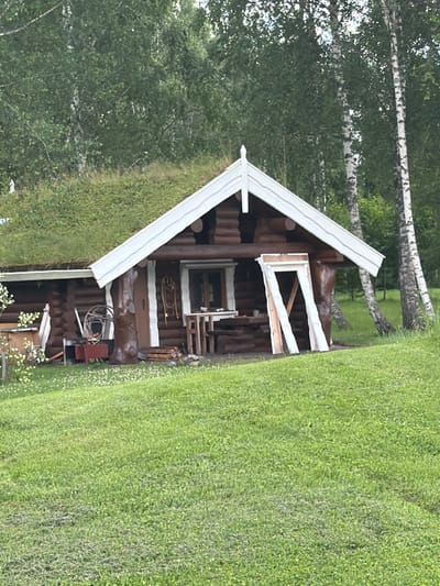 The image depicts a rustic log cabin with a living green roof, nestled within a natural environment. The cabin is constructed from dark logs, featuring a white-trimmed gable roof. To the left of the cabin's entrance, there is an open doorway with white trim pieces leaning against it. Various objects are visible around the cabin, including what appears to be a table and chairs in front of a window, a red cart, and a coiled hose or rope. The cabin is situated on a grassy slope, with a backdrop of lush green trees, including several birch trees with distinctive white bark. The ground in front of the cabin is covered with grass and small white wildflowers. The overall scene suggests a tranquil, possibly rural or wilderness setting. The location is identified as Mežpļavas, Latvia.