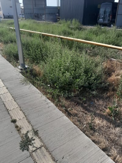 The image shows a concrete sidewalk with tactile paving, adjacent to a patch of overgrown grass and weeds. A yellow metal pipe runs horizontally across the scene, supported by a metal pole. In the background, there are industrial buildings with corrugated metal siding. A dark-colored van is parked near one of the buildings. Several people are visible in the background, walking and standing near the buildings. The scene appears to be an outdoor area in a semi-industrial or urban setting. The location is identified as Bayaut, Uzbekistan.