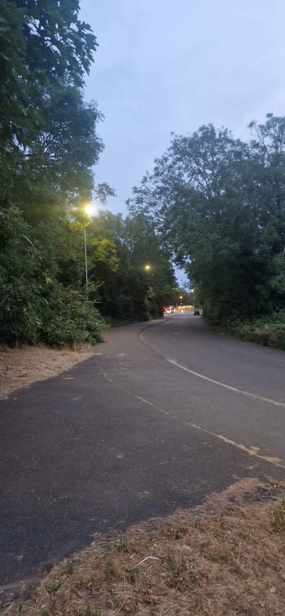 The image depicts a paved pathway or road curving to the right, bordered by dense foliage on both sides. The scene is illuminated by the soft glow of streetlights, suggesting it is dusk or dawn. In the distance, a few vehicles are visible, with their headlights and taillights casting faint light onto the road. The sky is overcast and a muted blue, contributing to the subdued atmosphere. The ground on the left side of the pathway is covered in dry grass and vegetation, while the road itself appears to be asphalt. The overall impression is a quiet, semi-urban or suburban setting, likely within a park or a road with significant tree cover.
