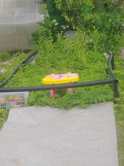 A low-angle medium shot captures a children's toy vanity table set up outdoors amidst lush greenery. The vanity is bright yellow with pink accents and features several pretend makeup items. It sits on a pink stand. The setting appears to be a garden or yard, with a greenhouse visible in the background. The ground in the foreground is a pale grey, textured pathway. Several tall green plants with buds are prominent, as well as other dense green foliage. A black metal pipe runs horizontally across the middle of the frame, partially obscuring the vanity and the greenery. A white plastic basket with colorful items is visible to the left of the pathway. The scene suggests a sunny day, likely during the daytime, given the bright lighting. The overall atmosphere is cheerful and playful, hinting at children's activities in a garden setting. There is no visible text.