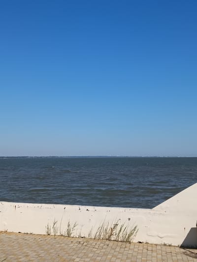 A serene, wide shot captures the vast expanse of the Black Sea under a clear blue sky. The horizon line, sharp and defined, separates the deep blue water from the light blue sky. A low, white concrete barrier runs horizontally across the foreground, showing signs of wear and tear with peeling paint and some rust marks. Small tufts of dry grass sprout from cracks and along the base of the barrier. To the right, the barrier meets a sloped, white wall that extends diagonally into the frame. The ground in front of the barrier is paved with light brown and beige square tiles laid in a diagonal pattern. In the distance, a faint, urban skyline is visible along the horizon. The overall impression is one of tranquility and a summer day by the sea.