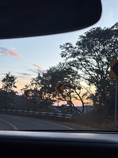 A view from inside a vehicle shows a winding road with roadside markers featuring black downward arrows on a yellow background. Silhouetted trees frame a sunset sky with soft pink and orange hues. The road has a yellow stripe. The interior of the vehicle is visible on the sides and includes the rear-view mirror. The scene evokes a sense of travel and picturesque scenery.