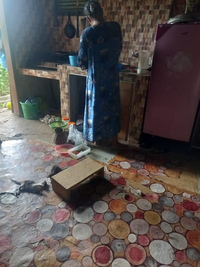 This image depicts an indoor scene, likely a kitchen, in a dwelling located in Cotmancang, Indonesia. A person, viewed from behind, is wearing a blue, patterned long dress and stands in front of a counter area. The counter has a tiled backsplash and appears to have cooking equipment. To the right, a portion of a pink refrigerator is visible. The floor is covered with a patterned linoleum featuring circular designs. In the foreground, on the floor, is a small wooden structure and two cats. One cat is lying on its back, while the other is partially visible behind it. The environment appears somewhat cluttered, with various items like baskets, bowls, and bags present on the floor and counter.