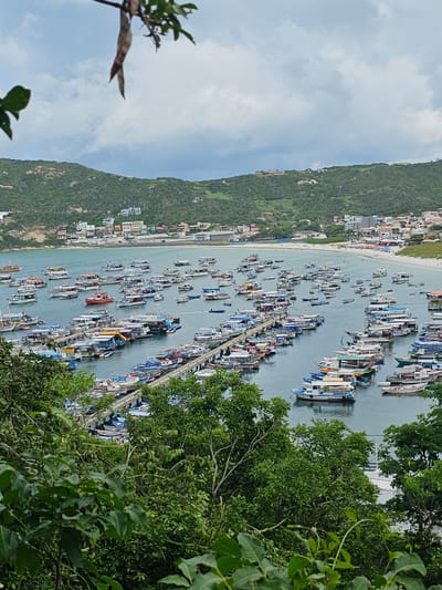 This image depicts a panoramic view of a bustling harbor in Arraial Do Cabo, Brazil, specifically looking into a bay. The foreground is partially obscured by lush green foliage and tree branches, indicating an elevated vantage point. The central focus is the bay, filled with numerous boats of varying sizes, colors, and designs. Many vessels are docked along at least two prominent, parallel piers that extend into the water, while others are individually anchored or moored throughout the bay. These boats appear to be a mix of fishing vessels and tourist boats.
The water in the bay is a calm, greenish-blue hue. Along the far side of the bay, a sandy beach is visible, with several small human figures present. Behind the beach and circling the bay are verdant, tree-covered hillsides, dotted with numerous buildings, including residential structures and other developments. The sky above is overcast with significant cloud cover, suggesting a non-sunny or partially cloudy day. No explicit interactions between individuals are discernible at this distance.