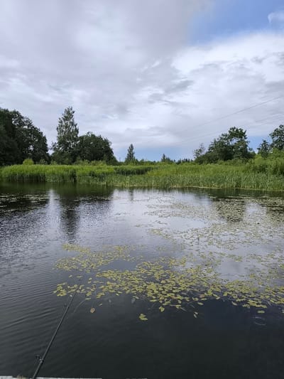 This is a wide shot of a calm body of water, likely a river or lake, in Verpčiai, Lithuania. The water's surface is dark and reflects the overcast sky and the surrounding vegetation. Lily pads are scattered across the water, with some clustered together and others more spread out. A fishing rod extends into the water from the lower left of the frame, suggesting an activity taking place.

The background is dominated by lush green vegetation, with tall reeds growing along the water's edge and a dense line of trees beyond them. The trees vary in height and species, with some taller, slender trees interspersed with broader, fuller canopies. Power lines are visible strung between poles in the distance, cutting across the sky and indicating human presence in the area.

The sky is filled with soft, grey clouds, suggesting a cloudy or overcast day. There are hints of blue sky peeking through in some areas, particularly towards the right side of the frame. The overall mood is tranquil and natural, with the gentle ripples on the water and the greenery creating a peaceful atmosphere. The time of day appears to be daytime, given the visibility and the light. No people are visible in the frame. There is no visible text in the image.