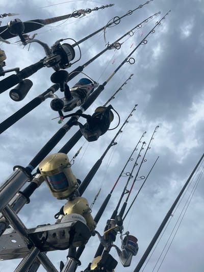 A low-angle shot captures numerous fishing rods and reels against a cloudy sky. The rods are mostly black, extending upwards, with colorful line and lures visible. The reels vary in style and color, including silver, gold, and black. A metallic frame holding the rods is visible in the lower part of the image. The overcast sky dominates the background.