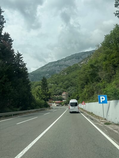 A white van drives on a paved road through a mountainous and heavily vegetated landscape under an overcast sky. The road, marked with white lines for lanes and a shoulder, curves gently. A metal guardrail runs along the left side of the road. On the right, a bright blue square sign with a white 'P' symbol indicates parking, positioned above a red triangular warning sign depicting a sharp left curve. Dense green trees and shrubs cover the hillsides along the road, partially obscuring residential buildings. A large, rocky mountain, also covered in patches of greenery, dominates the background on the left side of the frame. The sky is uniformly grey with thick clouds, suggesting an overcast day. On the rear of the white van, part of a brand name "LEPIS" is visible, along with letters "PG" on its license plate. The image captures a journey through a scenic, natural setting in Golubovići, Montenegro.