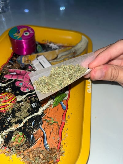 The image displays a close-up, overhead view of a human right hand in the process of rolling a substance. The hand holds a white rolling paper containing a pile of finely ground, greenish-brown vegetative material, consistent with cannabis. This activity occurs on a yellow metal rolling tray, which features a multicolored graphic depicting celestial bodies, an orange landscape, and a stylized pink hand. A pink metallic cylindrical grinder, exhibiting a circular abstract design on its lid, is positioned on the tray's left side. Scattered organic residue, consistent with plant matter and finer particulate, is distributed across the tray's surface. Several white, rectangular paper filters are also present on the tray. The background is an indistinct, light-colored surface. The scene is located in Dique Luján, Argentina.