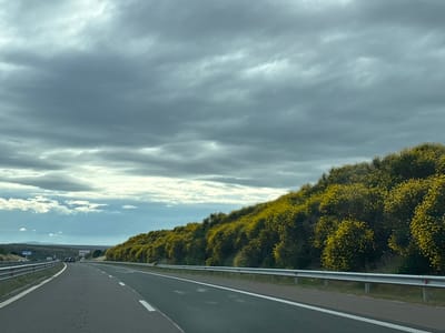 The image depicts a highway in Troyanovo, Bulgaria, under a cloudy sky. The road is asphalt and has white markings. On the right side of the road, there is a metal guardrail and a hillside covered in blooming yellow shrubs. On the left side, there are more guardrails and a billboard with the text "AUX". In the distance, there are hills and a few vehicles on the road. The overall impression is a landscape view during daytime.