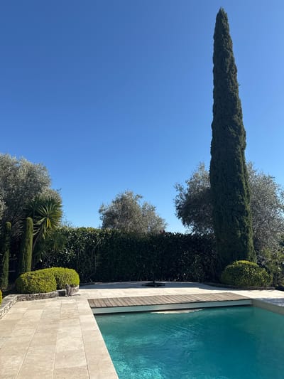 This outdoor scene in Tourrettes-sur-Loup, France, features a swimming pool with light blue water and a tan tile border and a wooden deck. Lush greenery surrounds the pool, including tall, cylindrical trees, round bushes, and various shrubs and plants. A clear, blue sky is visible above the landscape. A gray cat is perched on the edge of the pool deck near a rounded bush.