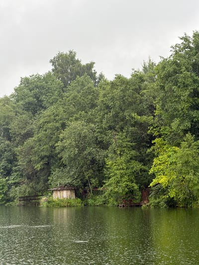 The image shows a tranquil lakeside scene on a cloudy, rainy day. Dense green foliage lines the shore, forming a thick forest. In the foreground, the lake's surface is rippled by raindrops, creating a speckled pattern. On the left side of the image, a wooden dock extends into the water. Closer to the center, a small, weathered wooden structure with a sloped roof sits on the bank, surrounded by lush vegetation. Further to the right, another rustic wooden platform is visible, also extending into the lake. The overall atmosphere is serene and natural, suggesting a secluded, possibly rural location. The weather is overcast, with rain actively falling, evidenced by the numerous water droplets on the lake and the misty appearance of the trees. There are no people or animals visible in the frame. The location is not Darna, Russia; this is a generic rural landscape.