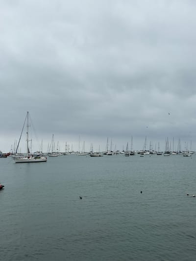 The image depicts a marina filled with numerous sailboats anchored on a calm body of water under an overcast sky. The foreground shows the water with a few buoys and what appears to be a seal's head visible above the surface. In the middle ground, a large white sailboat with a prominent mast is the closest and most detailed vessel, with several people visible on its deck. Behind it, a dense line of various sailboats and smaller boats stretches across the horizon. The background is dominated by the cloudy sky. The scene is likely in La Punta, Peru, a coastal district known for its marinas and waterfront activities.