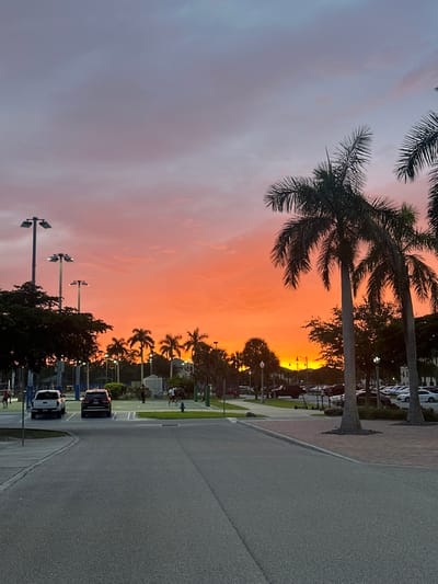 The image depicts an outdoor scene in Miromar Lakes, United States, at sunset. The sky is dominated by vibrant orange and reddish hues transitioning to lavender and light blue at the zenith, with scattered cloud formations.

In the foreground, an asphalt road extends from the bottom of the frame, curving slightly towards the left in the midground. A concrete curb and a brick-paved sidewalk border the road on the right. On the left side of the road, a white pickup truck, likely a Ford F-150, is parked, followed by a dark-colored SUV.

The midground features a recreational area on the left, identified as a light blue sports court with white markings. Three tall light poles with multiple luminaires illuminate this court, and their lights are active. Approximately 5-8 individuals are visible on or near the court, engaged in recreational activity. A blue fire hydrant is situated at the edge of the court area. Numerous palm trees, characterized by their tall, slender trunks and fanned fronds, are prominent throughout the midground and background, particularly framing the right side of the image and silhouetted against the sunset. Other green trees and shrubs are also present. On the right, further back, a parking lot contains multiple parked vehicles, partially obscured by foliage.

The background shows a distinct horizon line where the intense orange glow of the setting sun is most concentrated, diffusing upwards. Distant buildings and dense vegetation, including more palm trees, are visible as dark silhouettes against the brightly lit sky. One individual is discernible walking on the left side of the road near the parked vehicles.