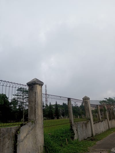 The scene depicts an outdoor environment in Houaythat, Laos, under a uniformly overcast sky. A weathered concrete and wire mesh fence runs horizontally across the midground. The fence features several light-colored concrete posts, each topped with a pyramidal cap, exhibiting discoloration, stains, and minor organic growth. Between these posts, a dark wire mesh is affixed above a low concrete base wall. The concrete base wall displays visible cracking, notably a vertical fracture on the leftmost visible section, and is partially overgrown with grass and small plants. Immediately in front of the fence, green grass and weeds are prominent, with a narrow, dark paved path visible in the lower right corner. Behind the fence, a large grassy area is visible, populated by numerous trees, including several conifers. In the background, a distinct red and white lattice telecommunications tower rises above the tree line and fence, silhouetted against the gray sky. Portions of distant building rooftops are also visible beyond the fence and trees on the right side of the frame. No individuals are present, and no specific actions or interactions are depicted.