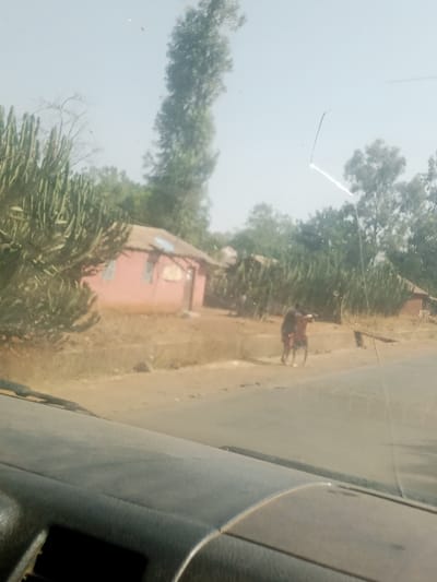 The scene depicts a daytime view from within a vehicle, likely a car or truck, in Hoss, Nigeria. The foreground shows the top of a dark grey, dusty dashboard and the lower portion of a windshield, which has a prominent, angular crack extending from the upper right quadrant downwards. Beyond the vehicle, a paved road traverses horizontally across a dry, light brown landscape. To the left of the road, several single-story, pink or faded red structures with corrugated metal roofs are visible, interspersed with tall, succulent-like plants. To the right of the road, two individuals are standing close together on the dirt shoulder. One individual, wearing dark clothing, appears to be supporting or physically interacting with the other, who is leaning. The background consists of sparse trees and shrubbery under a clear, pale blue sky.