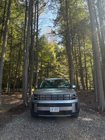 A silver Hyundai IONIQ 5 electric SUV is parked on a gravel surface in a densely wooded area in Otego, United States. The vehicle faces the viewer, displaying a New York license plate with the alphanumeric sequence LVE-2075 on its front bumper. Tall, slender coniferous trees dominate the scene, surrounding the vehicle on all sides, with some deciduous trees showing green and hints of yellow foliage. Patches of clear blue sky are visible through the tree canopy. The ground directly beneath the vehicle is composed of light-colored gravel, transitioning to natural forest floor covered with leaf litter and dirt beyond the immediate foreground. Strong natural sunlight illuminates the scene, casting discernible shadows. In the far right background, partially obscured by tree trunks, a light-colored, cylindrical object, consistent with a propane tank, rests on the ground. No individuals are present, and no active interactions are depicted.