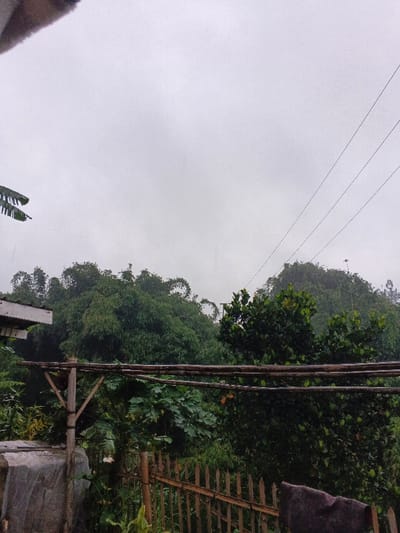 The image shows a view of a lush, green hillside shrouded in overcast skies. The foreground includes a rustic bamboo fence and wooden supports, suggesting a garden or yard. Dense vegetation, including trees and smaller plants, fills the midground. Power lines stretch across the upper portion of the frame. A glimpse of a structure with a partial roof is visible on the left. The overall scene conveys a sense of rural tranquility despite the gloomy weather.