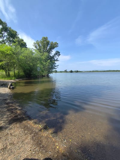 A vertical, eye-level, medium shot captures a serene lakeside scene. In the foreground, a pebbly shore slopes gently into the calm, clear water, revealing a submerged rocky bottom. A weathered, dark brown log rests partially on the shore and partially in the water on the left. Lush green trees and foliage line the left bank, their reflections dappled on the water's surface. The lake stretches into the distance, its surface rippled by a gentle breeze, under a bright blue sky dotted with wispy white clouds. The background shows a hazy, tree-lined horizon with a faint mountainous silhouette. The image is dated June 18, 2023, at 11:12 AM. This location is identified as a lakeside in Raiykov, Russia.