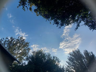 This image captures a low-angle view of a bright blue sky with scattered white clouds. Lush green foliage from trees frames the top and sides of the frame, creating a canopy effect. The leaves are dark green, suggesting a full and healthy state. In the lower left corner, a portion of a building's dark gray roof is visible, with its angled edge cutting into the frame. The building appears to be constructed of light-colored material. A faint sliver of the moon is visible in the upper left quadrant of the sky. The lighting suggests it is daytime, likely late afternoon or early evening due to the warm, diffused light and the presence of the moon. The overall scene conveys a sense of tranquility and a connection to nature. The setting appears to be a residential area with trees and a building. There is no visible text in the image.