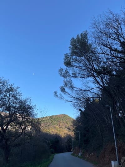 This image depicts a winding, paved road in Brežine, Montenegro, under a clear, bright blue sky. A distinct crescent moon is visible in the upper left quadrant of the sky. The road curves from the foreground towards the left into the mid-ground, flanked by dense vegetation and numerous trees. On the right side of the road, an embankment rises, heavily covered with mostly bare, dark-branched trees and shrubs. Several gray-poled streetlights with modern fixtures are vertically installed along this right embankment. On the left side of the road, similar dark trees and undergrowth are present, with some showing sparse green foliage. In the background, a prominent hill or mountain, covered in various shades of green foliage, is brightly illuminated by sunlight. Faint outlines of distant structures are discernible through the trees on the far left horizon. The foreground and the immediate right side of the road are largely shadowed, while the mountain in the background is well-lit. No individuals or animals are present.