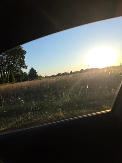 An outdoor, eye-level shot captures a sun-drenched field viewed through a car window. The sun is setting or rising, positioned high in the bright blue sky and casting a golden glow over the landscape. The field is filled with tall, dry grass and scattered white wildflowers, with several trees silhouetted in the distance. The foreground is dominated by the dark interior of the car, including a portion of the window frame and dashboard. The scene is set in Bischofsheim, Germany.