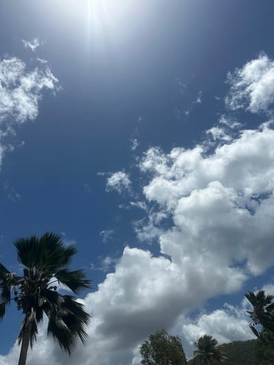 The image captures an upward-looking view of a bright blue sky, partially adorned with white and grey clouds, set in Deshaies, France. The sky, a dominant feature, presents a gradient from a darker blue hue in the upper and central parts to a lighter, almost ethereal white in the bottom-left corner, where the sun appears as an intense, star-shaped glare.

Clouds of varying densities and formations are scattered across the frame. Wispy, delicate white clouds are visible in the upper-left and bottom-center, while larger, more voluminous cumulus clouds, with noticeable grey undersides, occupy the top-right and central-right portions of the sky.

Framing the right side of the image are elements of tropical vegetation. A prominent palm tree with distinct, dark green, fan-shaped fronds fills the bottom-right corner, its foliage appearing mostly silhouetted against the radiant sky. Further up the right edge, more palm fronds and a segment of dense, leafy green foliage, possibly indicating a hillside or other trees, can be discerned.

The strong sunlight and the clear areas of the sky, despite the presence of clouds, indicate a sunny daytime, likely mid-morning or afternoon. The scene conveys a sense of warmth and a tranquil tropical atmosphere. No text is visible in the image.