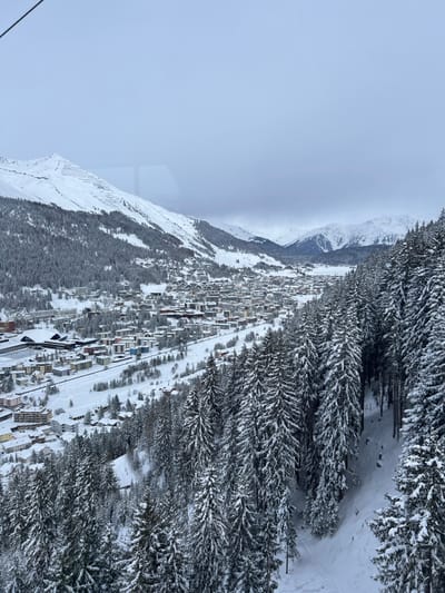 An elevated panoramic view captures the snow-covered city of Davos, Switzerland, nestled within a mountain valley under an overcast sky. In the foreground, dense conifer forests, heavily laden with fresh snow, descend steeply on the right side of the frame. Faint ski tracks are visible in the snow amongst these trees in the lower right.

The midground features the expansive urban area of Davos, characterized by numerous multi-story buildings with snow-covered roofs, extending across the valley floor and partially up the surrounding slopes. A large, dark-roofed structure, possibly an arena or convention center, is discernible on the left side of the town. A linear, snow-covered path or railway line runs through the valley, flanked by additional snow-covered trees and open ground.

The background consists of prominent snow-covered mountains flanking both sides of the valley. The mountain on the left exhibits distinct terracing or avalanche barriers on its upper slopes. Distant snow-capped peaks are visible at the far end of the valley, receding into the gray, cloudy horizon. The overall scene is dominated by white snow, dark green trees, and the muted colors of urban infrastructure, all under a uniformly light gray sky. No individuals are explicitly visible. A faint reflection, possibly of an overhead cable or part of the viewing platform, is present in the upper left quadrant of the image.