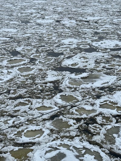 The scene depicts a wide expanse of a body of water located in Мастоўскі сельскі Савет, Belarus, largely covered by a dense formation of ice floes. The ice is fragmented into countless individual pieces, predominantly circular or oval in shape, consistent with pancake ice, featuring lighter, snow-covered or thicker raised outer rims and darker, exposed or thinner ice/water in their centers. Dark, open water channels are visible between these floes, indicating a partial thaw or active flow. A slender, dark, linear object, appearing to be a cable or rope, extends diagonally across the lower-middle portion of the frame, partially submerged or resting on the ice and water. No individuals or explicit actions are observed. The environment suggests a cold, possibly overcast winter day.