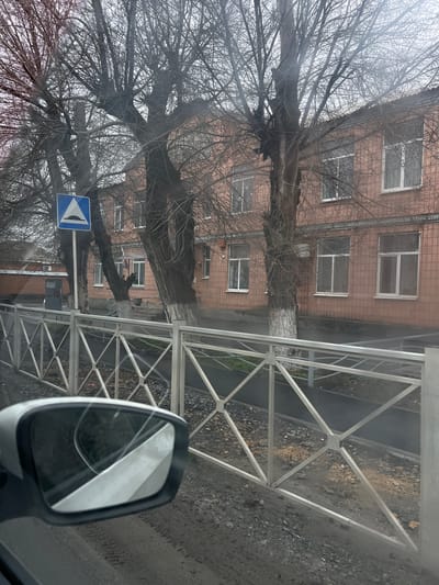 This image captures an urban street view in Leninavan, Russia, from an internal vehicle perspective. The foreground features a portion of a gray vehicle's side mirror on the lower left, reflecting part of a white vehicle body. The road surface below the mirror is dark and wet, showing tire impressions. A light-colored metal pedestrian barrier, composed of a repeating pattern of X-shapes within rectangular frames, extends horizontally across the middle of the frame, separating the roadway from the sidewalk.

Beyond the barrier, a rough patch of ground with gravel and dirt transitions to a paved sidewalk. Several tall, leafless deciduous trees with dark, gnarled trunks and bare branches stand between the sidewalk and a building. The bases of some tree trunks are painted white. A blue square road sign, indicating a speed bump with a white triangular symbol containing a black hump, is visible on a pole to the left of the central trees.

The primary structure is a two-story building with a light reddish-brown facade, likely brick or tile. It features numerous rectangular windows with white frames. Some windows display faint white internal coverings. An entrance with steps is partially visible between trees. On the upper floor, a small object displaying horizontal white, blue, and red stripes is affixed near a window, consistent with a Russian flag. To the far left, a section of a lower, dark brick building is visible behind the main structure. The sky is uniformly overcast and light gray. No individuals are present.