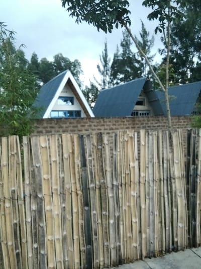 Three A-frame cabins stand behind a brick wall and a fence made of bamboo poles. The first cabin is white with blue windows, while the other two have dark blue roofs. Trees rise in the background, filling the sky with lush green foliage. The bamboo fence in the foreground adds texture to the scene, its pale tones contrasting with the darker colors behind it.