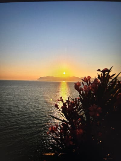 This image captures a serene sunset over the sea, likely viewed from a vantage point in Castellammare del Golfo, Italy. In the foreground, a cluster of delicate pink flowers is silhouetted against the twilight sky, their details slightly blurred, suggesting they are close to the camera. Beyond the flowers, the expansive sea stretches out, its surface rippled and reflecting the warm hues of the setting sun. A faint silhouette of a coastline or distant hills can be seen on the horizon, where the sun, a bright, luminous orb, is setting. The sky transitions from a clear, pale blue at the top to a gradient of soft oranges and yellows near the horizon, illuminated by the sun's glow. The overall impression is one of natural beauty and tranquility.
