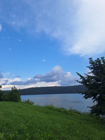 The image depicts a serene natural landscape with a body of water, lush green grass, and a forest-covered hill in the distance. The sky is a vibrant blue, dotted with scattered white clouds. On the water, a small white boat is visible, suggesting a peaceful recreational activity. The foreground is dominated by a field of tall, green grass, interspersed with small white wildflowers. The trees on the left side of the image frame the scene, while a large, leafy tree occupies the right side. The overall impression is one of tranquility and natural beauty. The location is identified as the city of Atamanovka, Russia.
