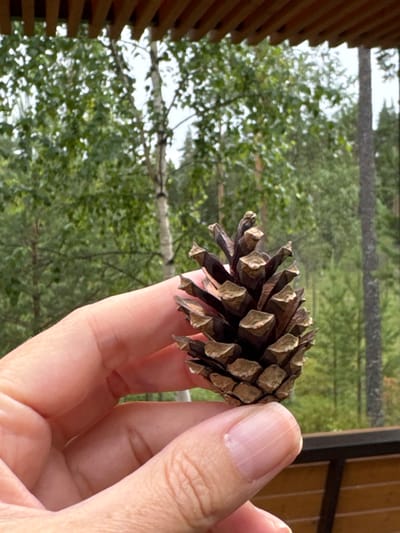 A person's hand is holding a pinecone in the foreground. The pinecone is brown and detailed, with visible scales. The background is a blurred forest scene with green trees and a wooden structure overhead. The image appears to have been taken outdoors, possibly on a deck or balcony, with a view of a natural landscape. No specific location in the city of Peski, Russia is discernible from the visual evidence.