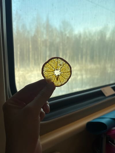 The scene depicts the interior of a moving vehicle, reportedly in Pervomaiskoe, Russia. A human hand, predominantly silhouetted, occupies the lower-left portion of the frame, holding a single, translucent slice of dried citrus fruit. The fruit, circular in shape and yellow-orange, is backlit, revealing its intricate segmented structure and a star-like void at its center. This object is held directly in front of a window, which features a dark frame and light brown interior paneling. Beyond the window, a blurred outdoor landscape is visible, characterized by vertical forms suggesting trees or a distant forest against a pale sky that transitions from light blue at the top to a diffused yellowish-white at the horizon. In the lower-right foreground, an out-of-focus teal-colored, oblong case or pouch is partially visible, resting on a light-colored surface, with a hint of pink fabric adjacent to it.