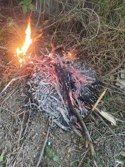 The image depicts a small campfire burning on the ground, surrounded by dry grass and dirt. The fire consists of various pieces of wood, some of which are glowing red and emitting flames. Ash and embers are scattered around the base of the fire. The surrounding environment appears to be a rural or natural area, with dry vegetation and soil. There are no people or animals visible in the image. The scene is likely located outdoors in Orlovka, Kyrgyzstan, given the context provided.