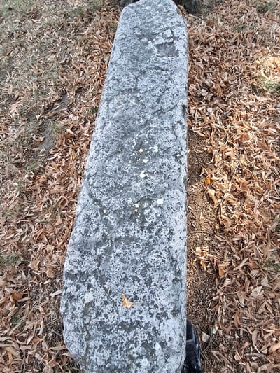 A top-down, high-angle medium shot captures a long, grey stone lying on the ground, surrounded by a carpet of dry, brown leaves and sparse green grass. The stone, weathered and rough in texture, appears to be a large, elongated rock or possibly a gravestone, with lighter speckles scattered across its surface. Several small, white objects, possibly pebbles or debris, are visible on the stone. The ground surrounding the stone is densely covered with fallen leaves, suggesting an outdoor, possibly autumnal, setting. In the lower right corner of the image, a portion of a black and grey athletic shoe is visible, indicating the presence of a person standing near the stone. The lighting suggests it is daytime, with some shadows present. The location is identified as Pieve Saliceto, Italy.