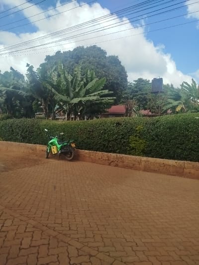 The image displays an outdoor scene in Kihara ward, Kenya, under a blue sky with scattered white clouds. The foreground consists of a reddish-brown interlocking brick pathway or road that transitions into an unpaved dirt area on the left. A low, weathered concrete or stone retaining wall, approximately 0.5 meters high, runs horizontally, separating the ground from a dense, green, trimmed hedge, approximately 1.5 to 2 meters high, that extends across the mid-ground.

A bright green motorcycle is parked on the dirt strip, leaning against the retaining wall and hedge on the left. It has black wheels and a yellow container or bag affixed to its left side.

Behind the hedge, numerous large trees are visible, including several prominent banana or plantain trees with broad leaves, and a large, dense-canopied tree. Towards the right side of the background, a black, elevated water tank rests on a metal support structure, rising above the treeline. Several buildings with reddish-brown tiled roofs are partially visible amidst the trees behind the hedge. Multiple thin, dark utility lines or power cables traverse the upper portion of the sky. No individuals are present in the scene.