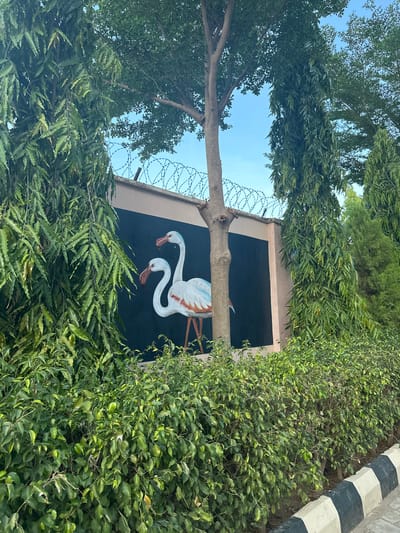 The image depicts an outdoor scene in Batagarawa, Nigeria, focusing on a mural of two flamingos painted on a dark wall. The mural is partially obscured by lush green foliage from trees and bushes in the foreground. Behind the wall, a strand of barbed wire is visible against a clear blue sky. The lower portion of the image shows a curb with alternating black and white markings. The overall impression is of a security-enhanced outdoor space with decorative art.