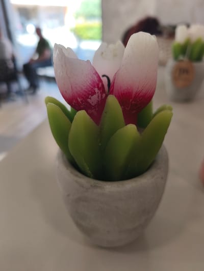 A close-up, slightly low-angle shot focuses on a small, grey, concrete pot containing a decorative item that resembles a tulip. The tulip appears to be made of wax or soap, with green leaves and a pink and white bud. The foreground is dominated by the pot and the tulip, with the background softly blurred. In the distance, a person is visible sitting, facing away from the camera, wearing a green shirt and blue jeans. The environment suggests an indoor setting, possibly a cafe or shop, with a brightly lit background indicating windows or an open doorway. The overall impression is of a decorative display item in a public space.
