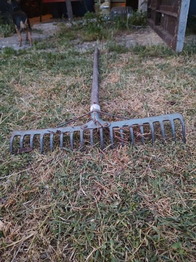 A rake is lying on the ground in a yard in Kochmar, Bulgaria. The rake has a wooden handle and a metal head with tines. The ground is covered in grass and dry leaves. In the background, there is a dog standing near a wooden structure. The image appears to have been taken during the daytime.