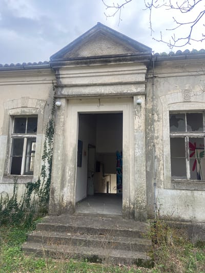 An exterior view of a dilapidated, single-story building in Đurmani, Montenegro, is depicted under an overcast sky. The structure features a central entrance with a pediment, flanked by two rectangular windows. The facade, originally light-colored, exhibits extensive paint peeling, cracking, and staining. Ivy vines are growing up the wall to the left of the entrance and around the left window. The entrance is open, revealing a dark interior with visible graffiti, including blue and white markings on a wall to the left inside. A set of three worn, concrete steps leads up to the entrance. Both windows have broken glass panes; the right window displays a large, red and green floral-patterned decal or painting on an interior surface. A spherical white light fixture is mounted on the wall to the left of the entrance. A grey conduit or pipe runs vertically down the wall between the entrance and the right window. The roof features visible curved tiles with moss accumulation. The foreground consists of overgrown grass, weeds, and small, bare shrubs. Bare tree branches are visible against the sky in the upper right quadrant. No individuals are present.