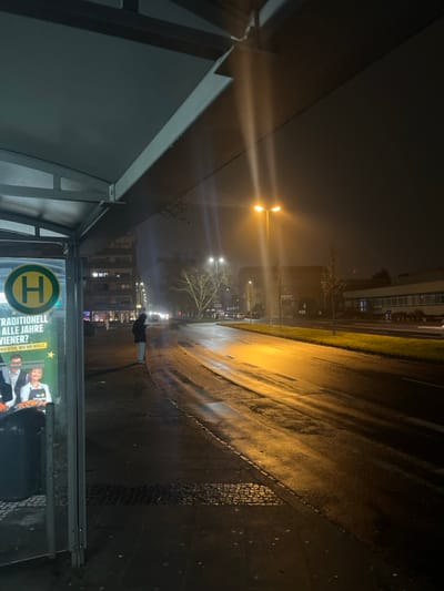 The media file presents a nocturnal urban street scene in Schweinfurt, Germany, characterized by dense fog or mist and wet surfaces. In the left foreground, a grey metallic bus stop shelter is visible, featuring a prominent yellow circular sign with a black 'H' for "Haltestelle" (bus stop). An advertisement poster inside the shelter displays partially visible German text including "TRADITIONELL ALLE JAHRE WIENER?" and "SCHMECKEN WIE SIE WOLL...".

A solitary person, dressed in dark clothing, stands further down the street on the wet pavement near the curb, facing away from the viewer, appearing to wait at the bus stop. Bright streetlights pierce through the thick atmospheric haze, creating pronounced light rays and halos that illuminate the scene. Their light reflects off the wet asphalt road, highlighting tire tracks and generating streaks of light. Bare-branched trees and the indistinct outlines of buildings line the street in the background, their forms softened and obscured by the fog and darkness.

The time of day is clearly night or pre-dawn, with artificial lighting serving as the primary light source. The combination of fog, wet ground, and artificial lights creates a quiet, somewhat mysterious, and solitary ambiance.
