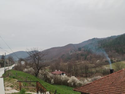 The image shows a rural scene in Smilyan, Bulgaria on an overcast day. A road curves into the distance on the left, bordered by a green grassy area and utility poles. A bare tree stands prominently in the midground against a backdrop of rolling hills covered in deciduous trees. In the valley, there is a house with a red roof, surrounded by white blossoming shrubs. In the bottom right corner of the image is another red-tiled roof. Smoke rises from a chimney further back in the scene. The sky is overcast and gray, creating a muted color palette across the landscape.