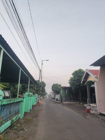 The image depicts a street scene in Sidokepung, Indonesia, under an overcast sky. A paved road runs through the center of the frame, lined on both sides by houses and structures. On the left, a green fence with blue decorative elements borders a property featuring a covered area with a dark roof supported by light green posts. A portion of a white vehicle is visible under this shelter. Overhead, numerous black electrical wires are strung across the sky, supported by poles.

The right side of the road features houses with various architectural styles. One prominent house has a pink facade with a red-tiled roof and a yellow gable. Further down the street, other houses and small structures with green and brown exteriors are visible, interspersed with trees. The road appears to be a residential street, with a general sense of quietude, possibly indicative of early morning or late afternoon. The overall environment suggests a typical Indonesian village or suburban setting. There are no visible people in the immediate foreground or mid-ground of the image.
