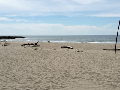 The image depicts a tranquil beach scene in Keudekruenggeukueh, Indonesia. The foreground is dominated by a wide expanse of sand, marked by gentle ripples and scattered pieces of driftwood. In the distance, the calm sea meets the horizon under a sky filled with soft, white clouds against a pale blue backdrop.
On the left side of the image, a dark, rocky jetty juts out into the water, with a lone figure standing at its end, possibly fishing or observing the sea. Further along the shoreline, more driftwood is piled up, hinting at past storms or natural erosion. To the right, a dark, vertical pole emerges from the sand, suggesting the presence of a structure or marker, possibly part of a beach amenity or a navigational aid. The overall impression is one of peaceful solitude, with no other people visible on the beach itself.
The weather appears to be pleasant, with diffused sunlight suggesting it might be a partly cloudy day, possibly late morning or early afternoon. The gentle waves indicate calm sea conditions. The location cues of the rocky jetty and the specific type of sand are consistent with a coastal area in Indonesia. The scene evokes a sense of serenity and natural beauty. There is no visible text in the image.