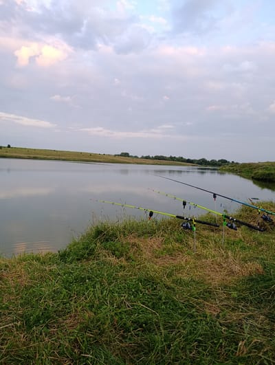 The image depicts a serene lakeside scene in Petrykivtsi, Ukraine. Several fishing rods are set up on the grassy bank, angled towards the calm water. The lake reflects the overcast sky, which is filled with soft, pastel-colored clouds. Beyond the lake, rolling hills covered in green grass stretch towards a treeline in the distance. The overall atmosphere is one of peaceful solitude, with no people visible in the frame.